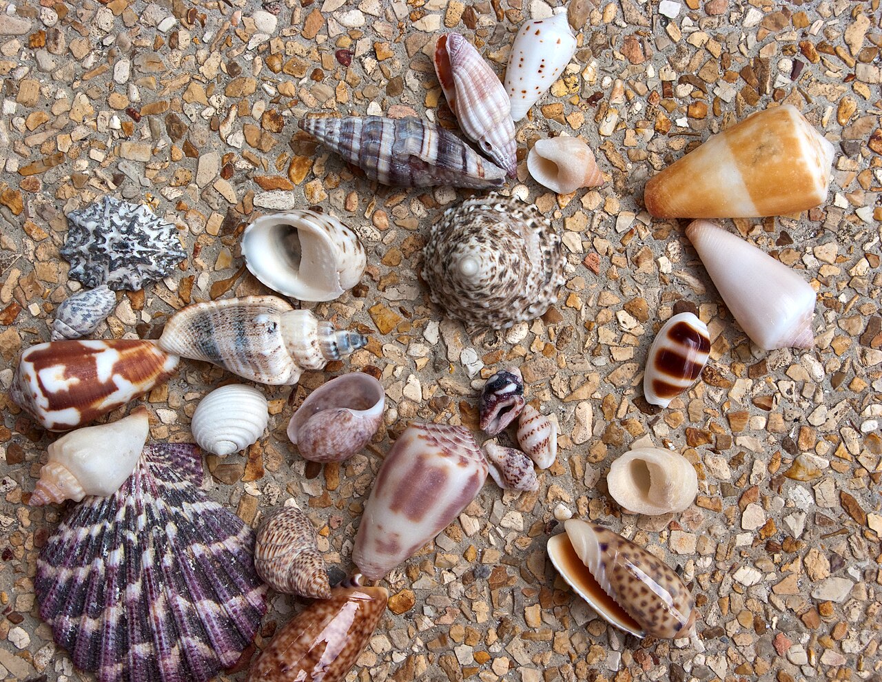 Photo: Vyacheslav Argenberg via Wikimedia Commons