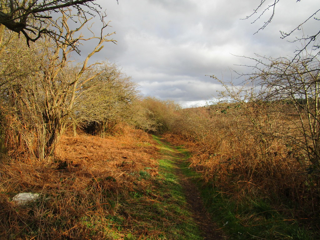 Photo: Jonathan Thacker via Wikimedia Commons